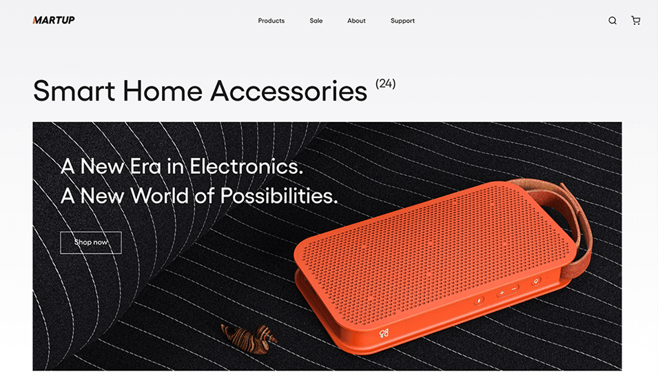 Electronics Store